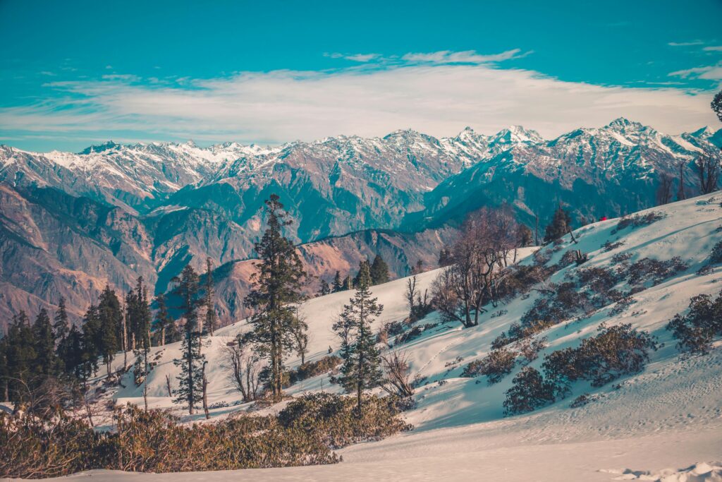 Breathtaking view of snow-capped Himalayan mountains with lush evergreen trees in a serene winter setting.